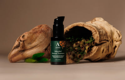 Bakuchiol Renewal Treatment