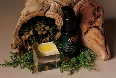 Bakuchiol Renewal Treatment