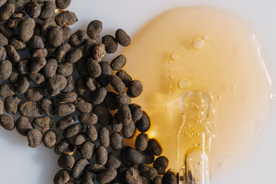 Bakuchiol Renewal Treatment