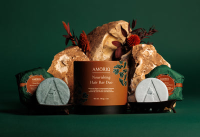 Hairphoria Nourishing Hair Bar Duo