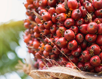 Radiant Defense Serum